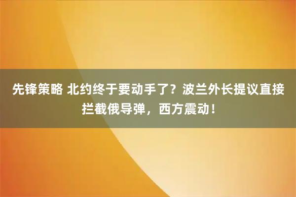 先鋒策略 北約終于要動手了？波蘭外長提議直接攔截俄導彈，西方震動！